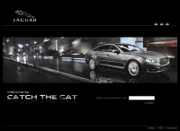 Catch-the-Cat.net